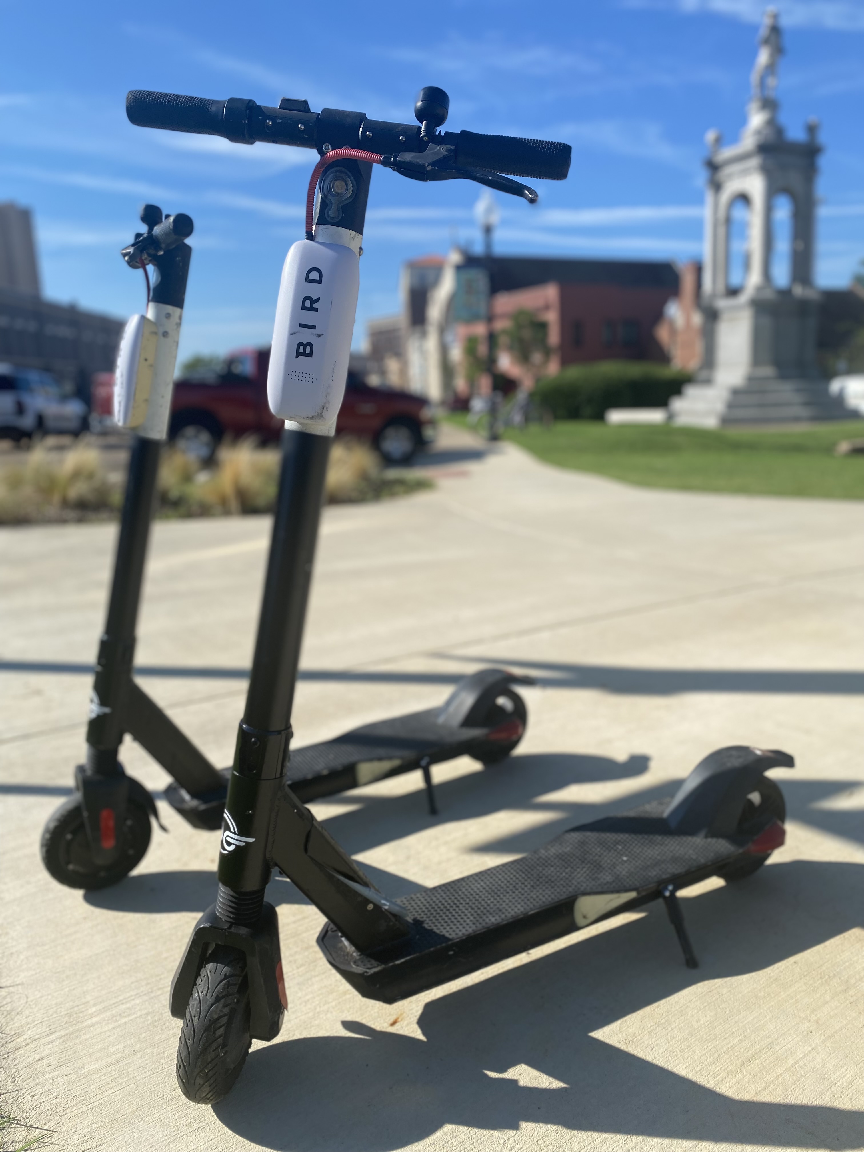 Bird scooters deployed across Twin Cities Texarkana Gazette