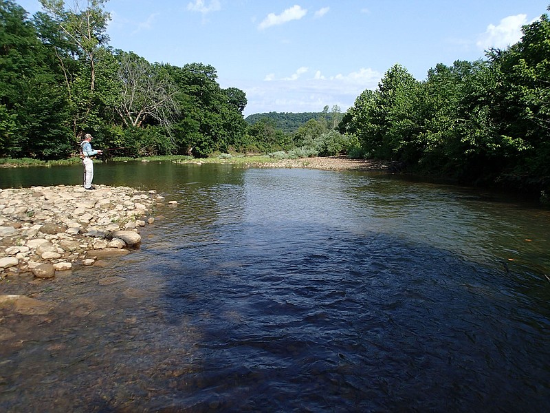 NWA fishing report: Fish go deep as water warms  The Arkansas  Democrat-Gazette - Arkansas' Best News Source