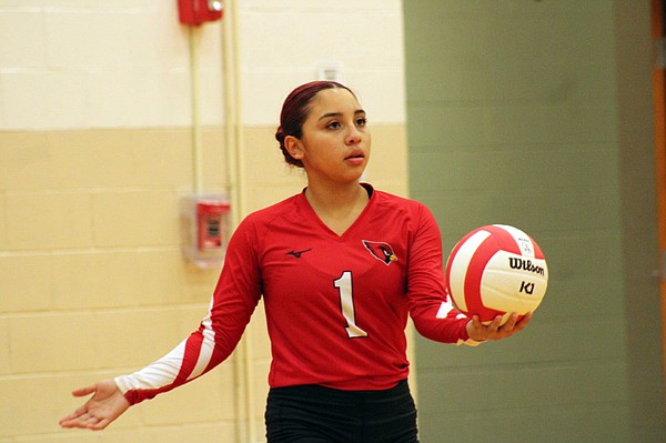 Camden Fairview Volleyball swept at home 3-0 by Magnolia | Camden News