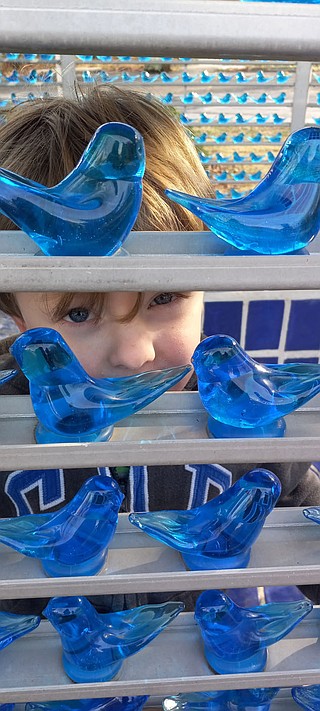 Terra Studios opens Bluebird of Happiness Museum | Northwest