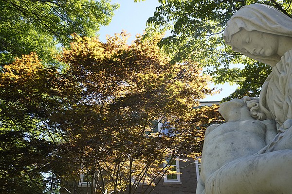 Spotty fall colors likely in New England amid drought - Vimarsana News