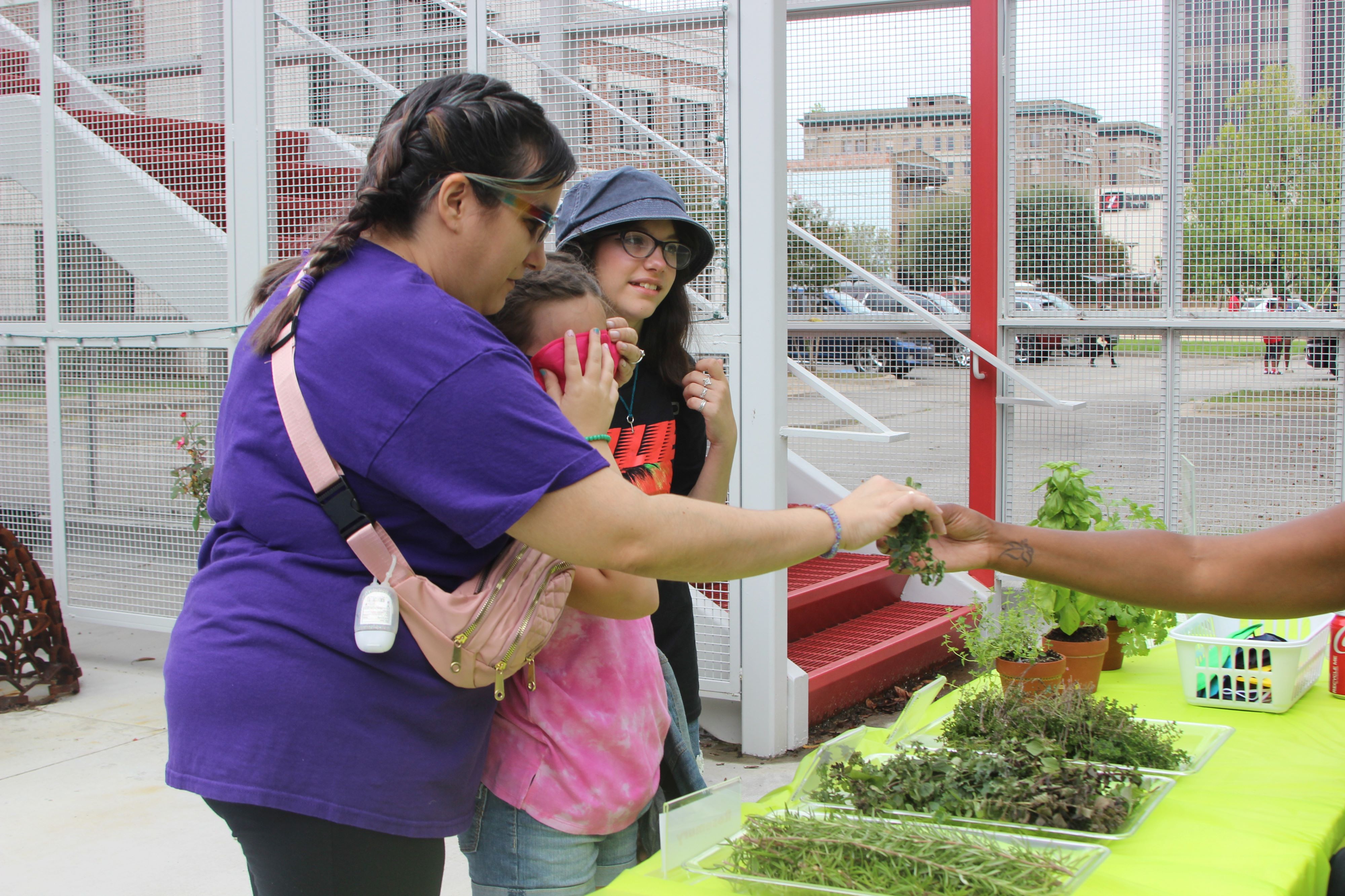 Fun in the garden at Tinkerfest