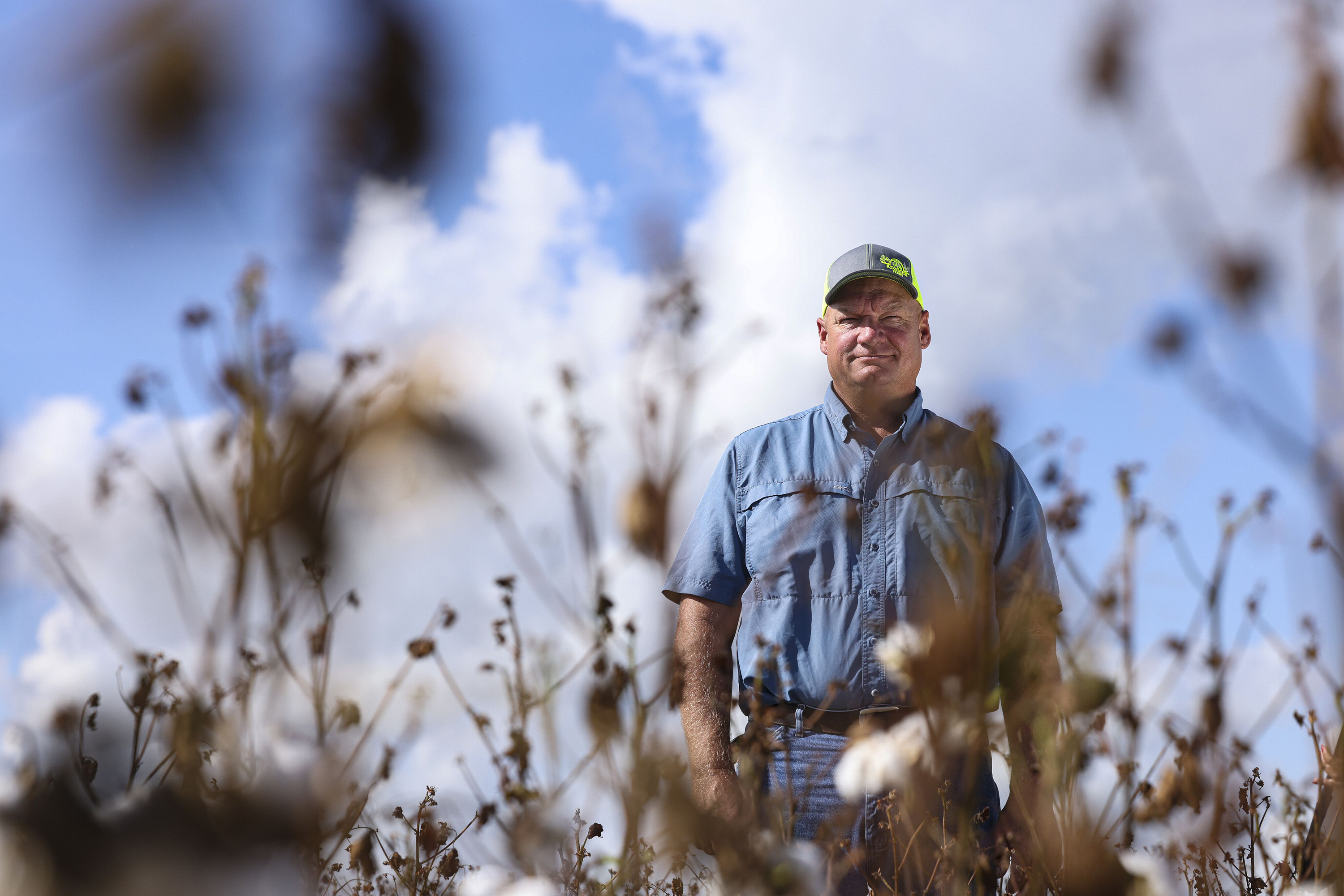 Record-breaking Texas drought results in over $2 billion in losses to cotton crop - Vimarsana News