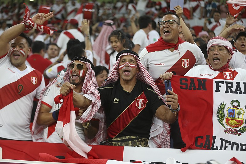 Many faces of World Cup soccer fans