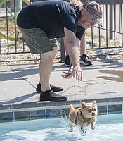 photo thumbnail
