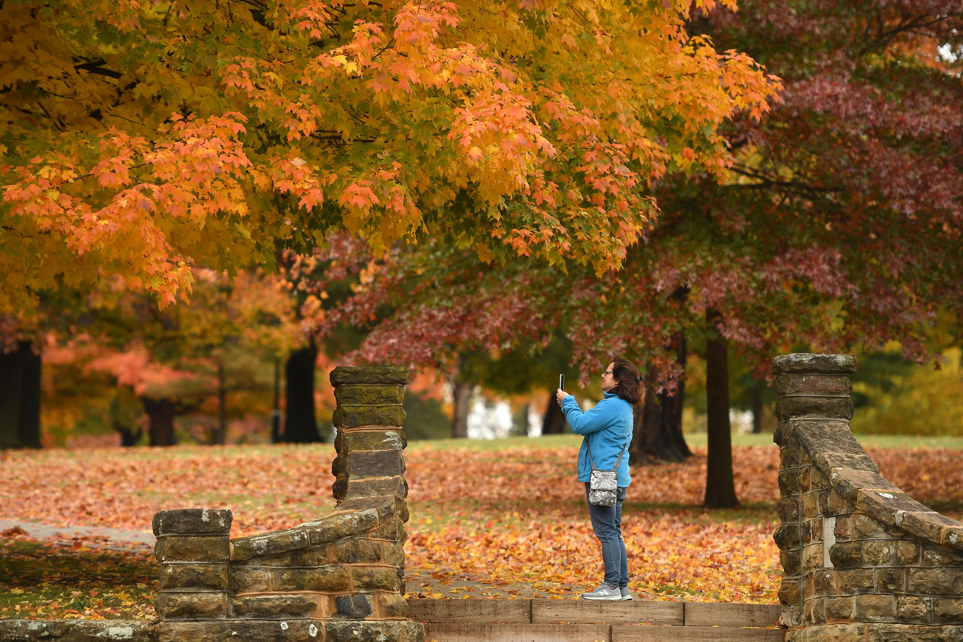 ARKANSAS SIGHTSEEING From north to south, autumn’s changing of the