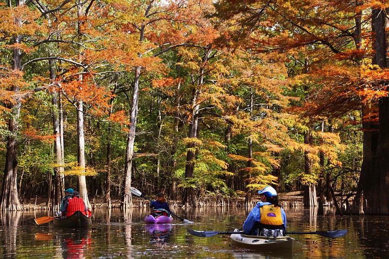 People pause to take in the colors that make autumn in Arkansas so special while kayaking along H Lake water trail in the Dale Bumpers White River National Wildlife Refuge in this 2018 photo. (Special to the Democrat-Gazette/Bob Robinson)