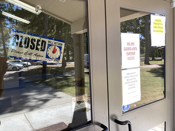 Distemper outbreak shuts animal shelter - Vimarsana News