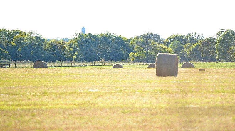 TIMES photograph by Annette Beard
Hay bales dot the fields east of Pea Ridge with the old city water tower in the background about two miles away from Miser Road. Over the past 15 years, many pastures and hay fields have been rezoned and become residential subdivisions in the area around Pea Ridge, once a farming community.