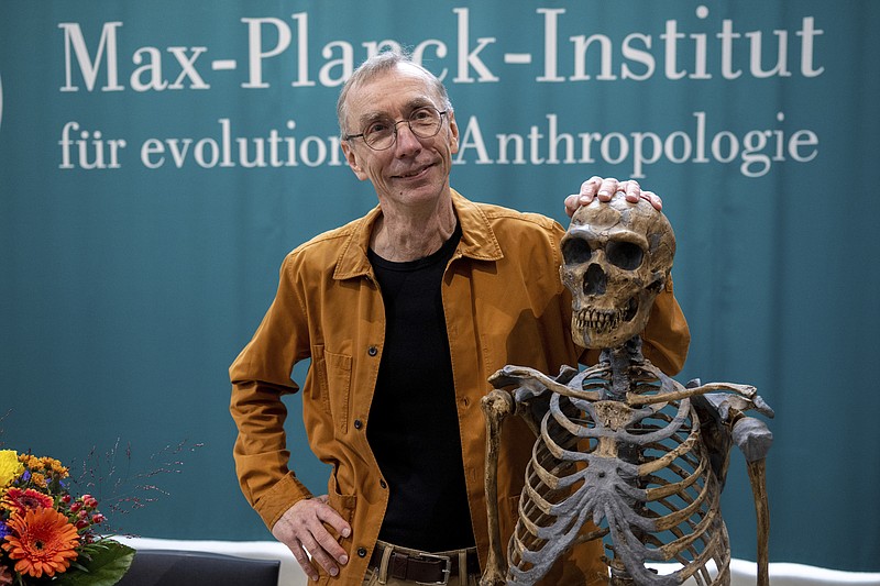 Swedish scientist Svante Paabo stands by a replica of a Neanderthal skeleton at the Max Planck Institute for Evolutionary Anthropology on Monday, Oct. 3, 2022, in Leipzig, Germany. Paabo was awarded the 2022 Nobel Prize in Physiology or Medicine for his discoveries on human evolution. (Hendrik Schmidt/dpa via AP)