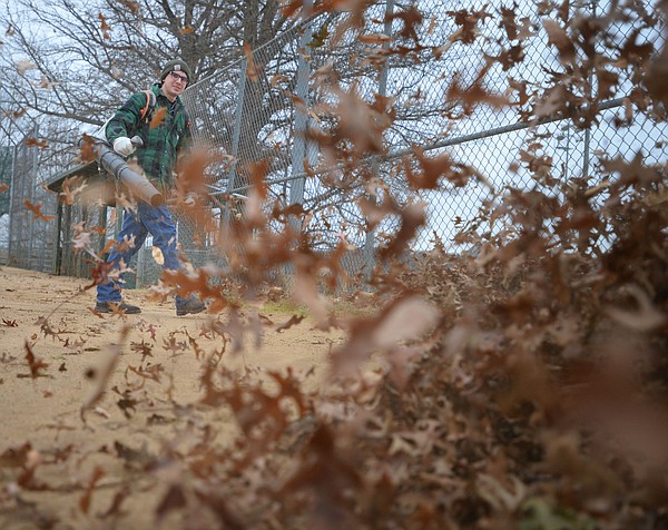 The other side of autumn — dealing with leaves - Vimarsana News