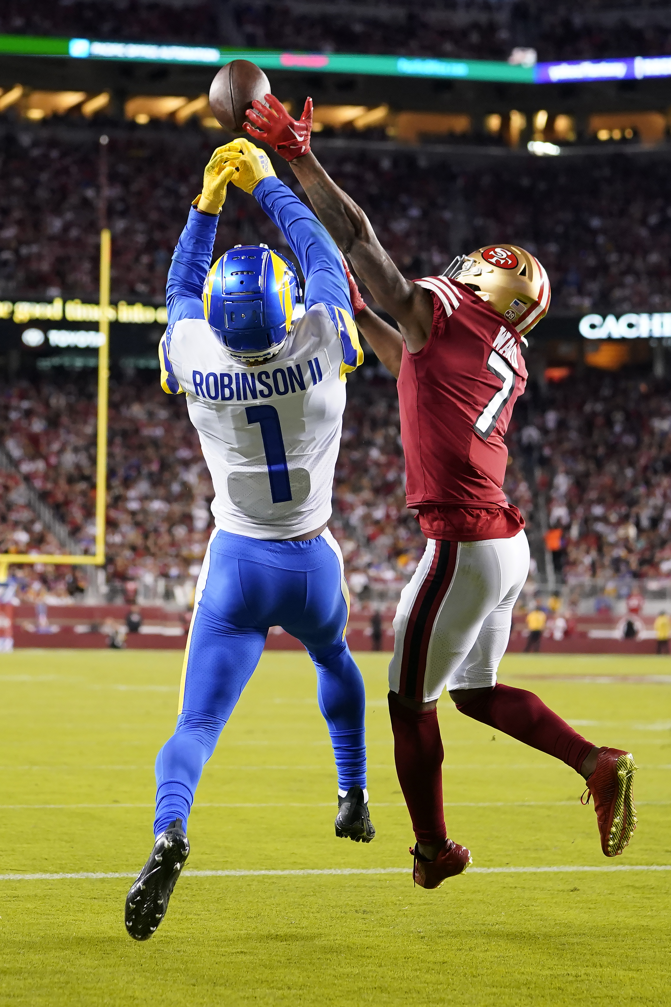 Pictures: Linebacker flattens protester who ran on field with pink smoke  device