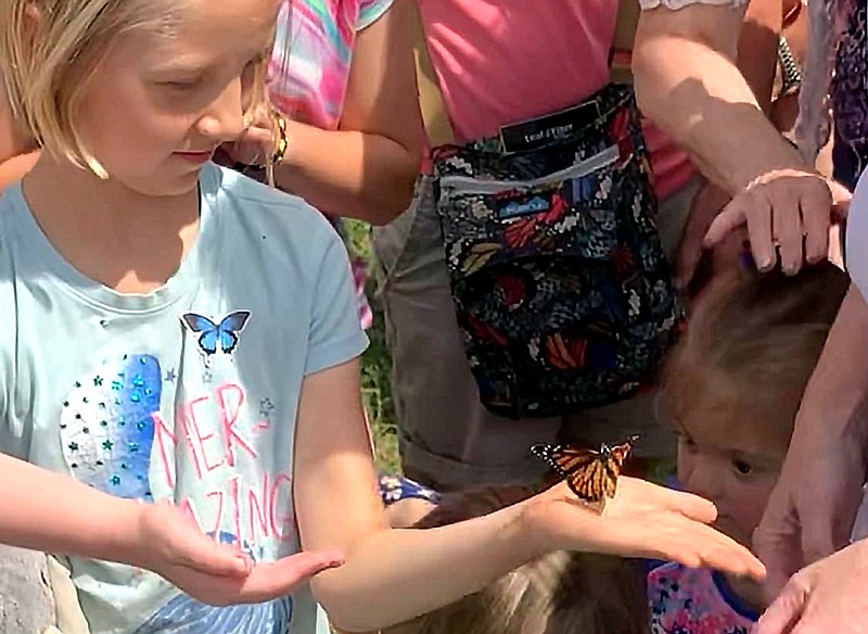 Children were fascinated by the release of Monarch butterflies on June 4 at the Pollinator Garden on the Greenway Trail. - Submitted photo