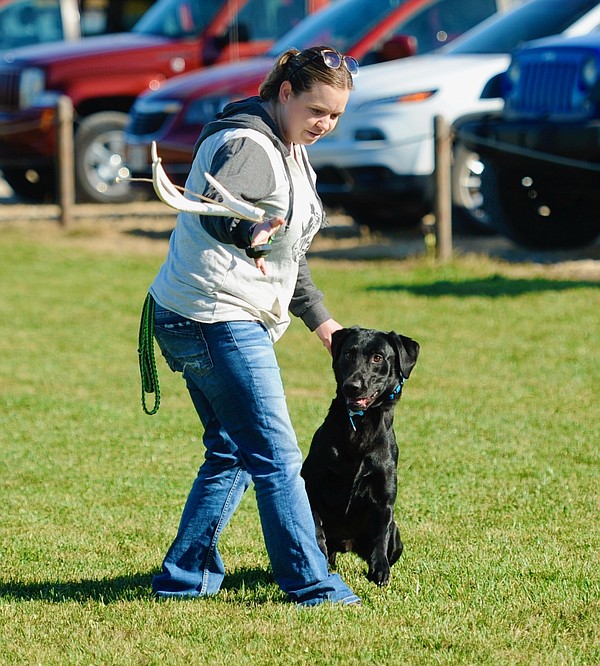 dogs-learn-to-find-deer-antlers-jefferson-city-news-tribune