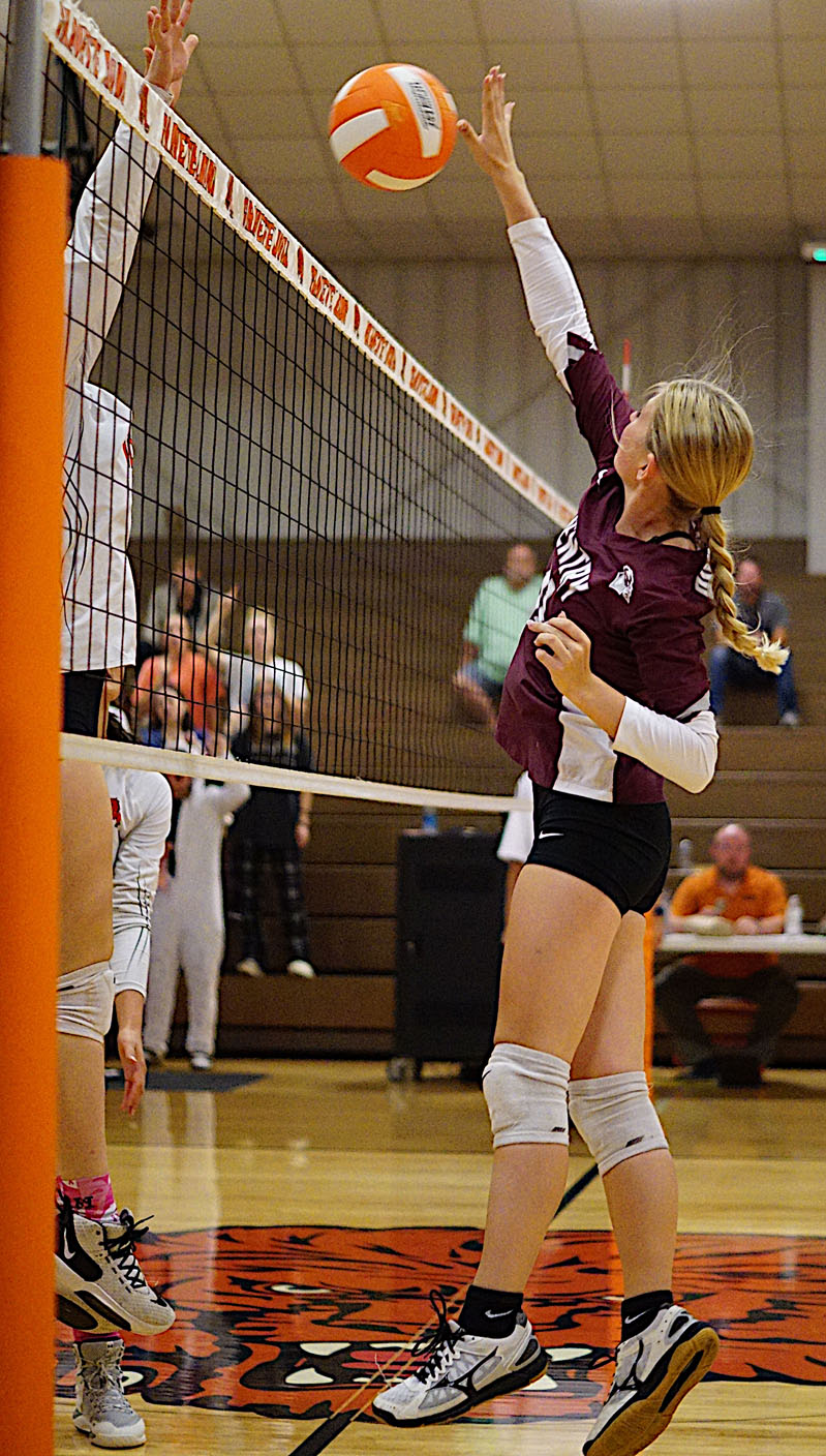 Lady Lions defeat Lady Pioneers, Lady Hawks