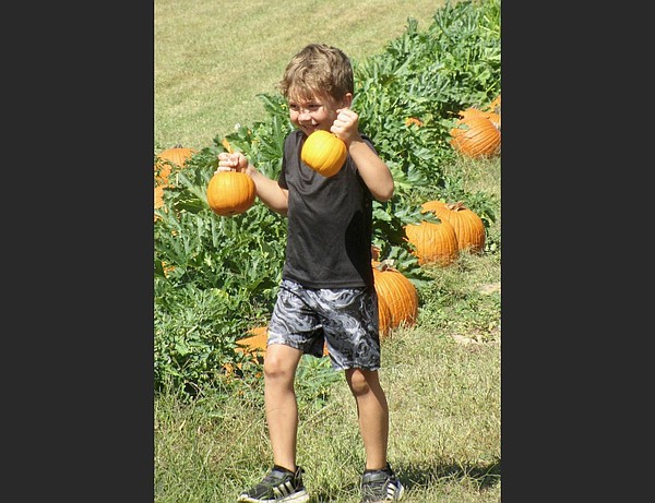 ARKANSAS SIGHTSEEING: State offers several farms for jack-o'-lantern hunting and other seasonal events - Vimarsana News