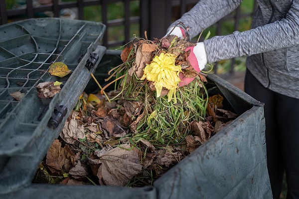 Food (scraps) for thought: Composting is easier than you think — here's how to get started - Vimarsana News
