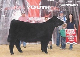 Sayer Price shows Grand Champion Chi heifer at Arkansas Youth Expo