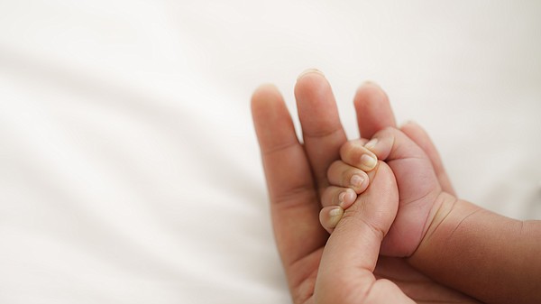 Stem cells successfully treat spina bifida in lambs, puppies. Could babies be next? - Vimarsana News