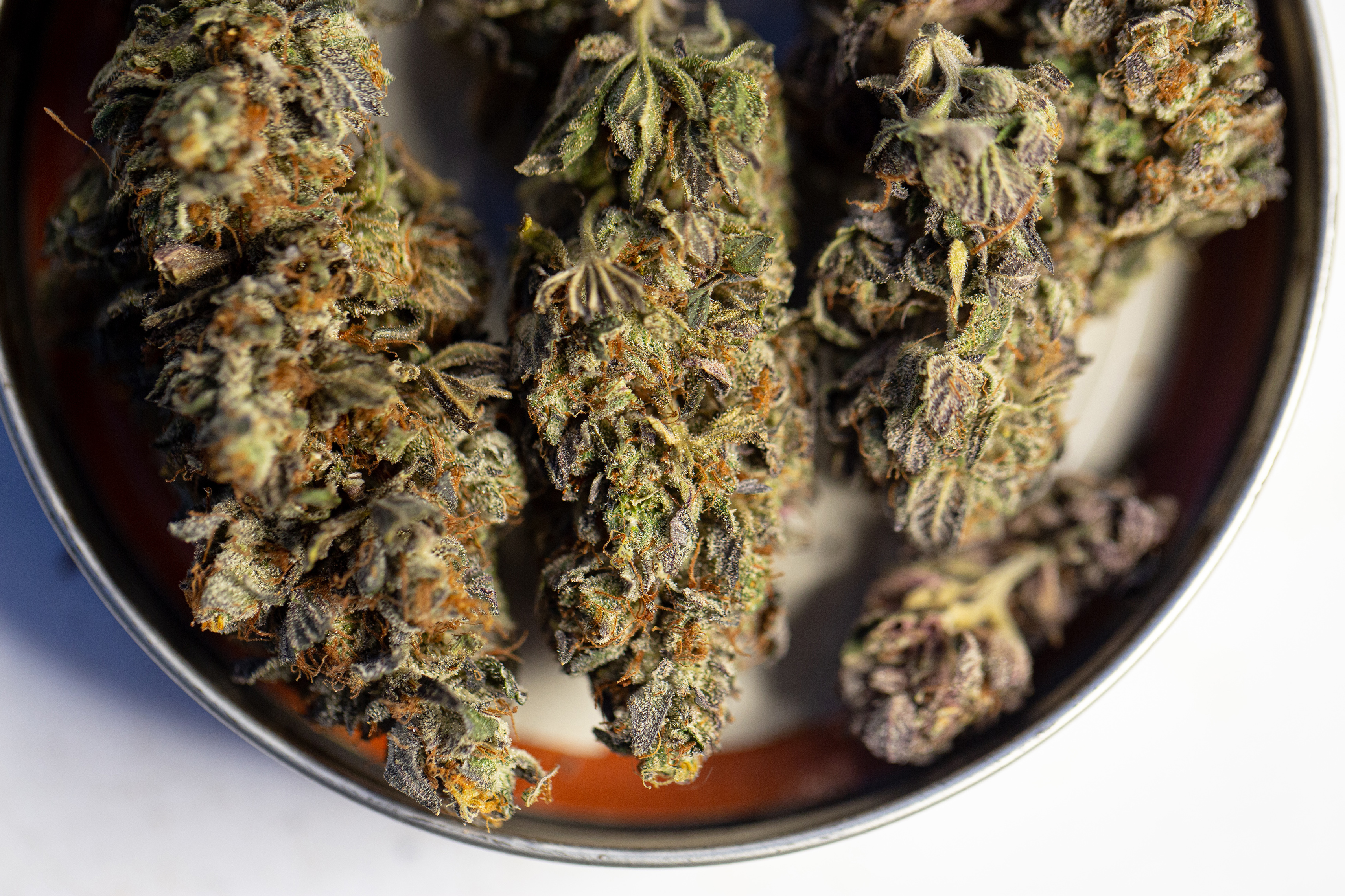 Black Virginians still more likely to get pot arrest - Vimarsana News