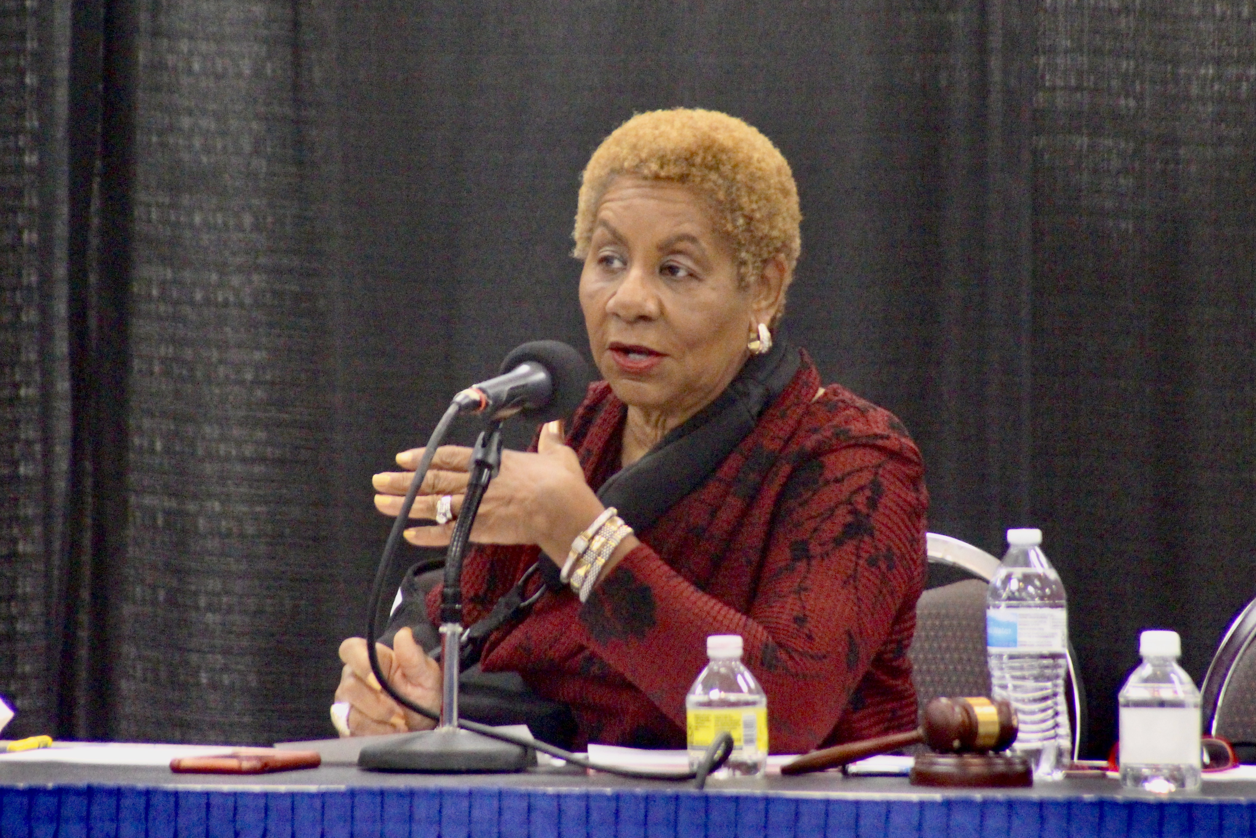 Mayor updates council on current city projects