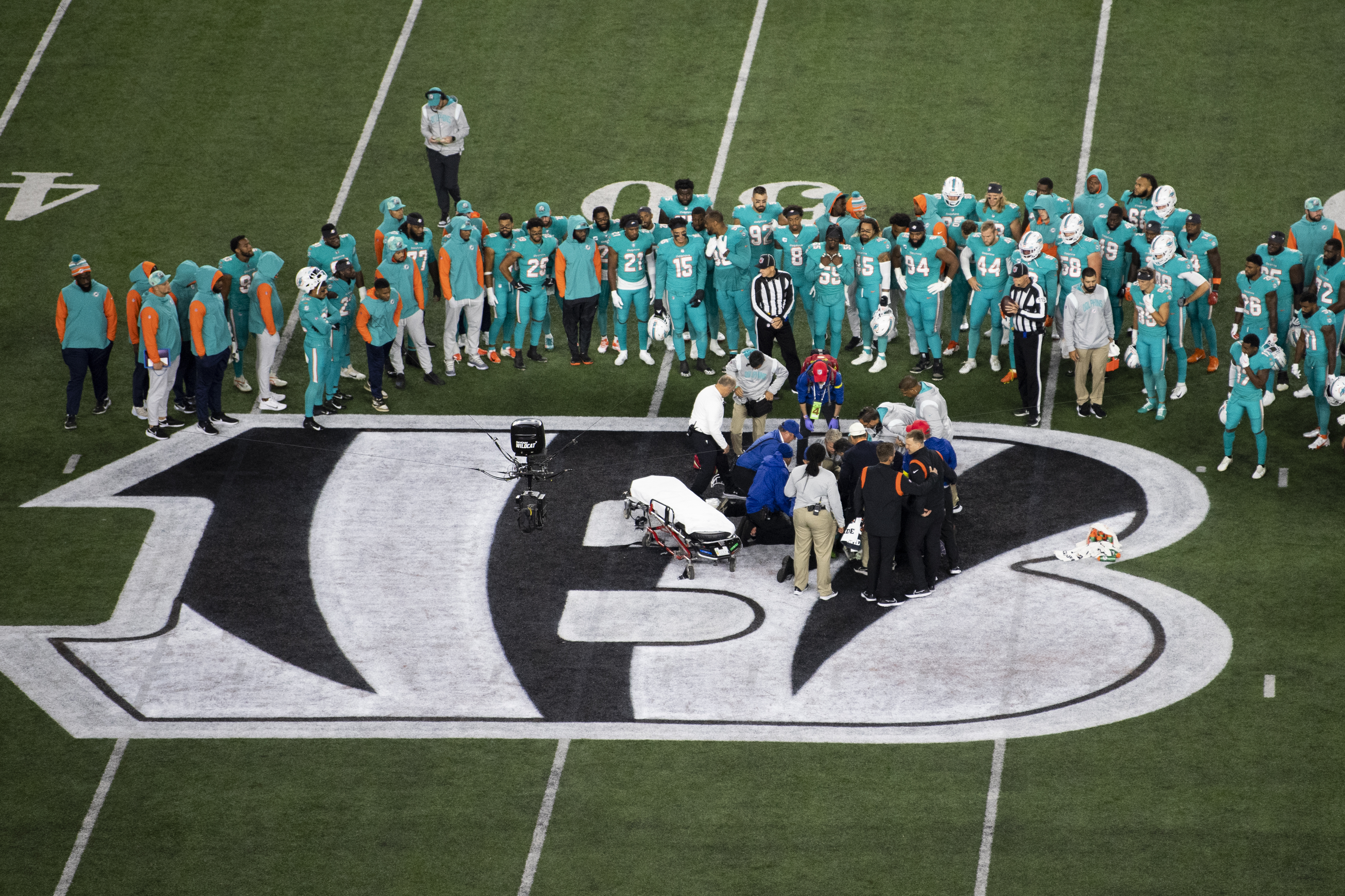 Dolphins QB admits losing consciousness