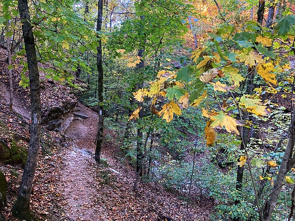 Autumn painting colorful masterpiece for hikers, paddlers - Vimarsana News