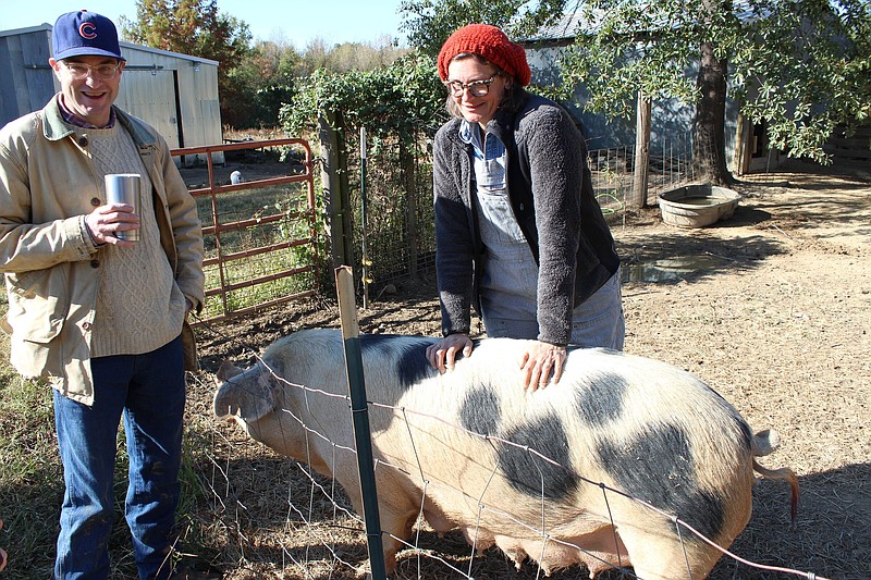 Aaron Baldwin (left) and Holly Payne (right) of family-owned Porch Swing Farms in Bigelow, AR check on their heritage breed of pigs on the farm Thursday, Oct. 20, 2022.