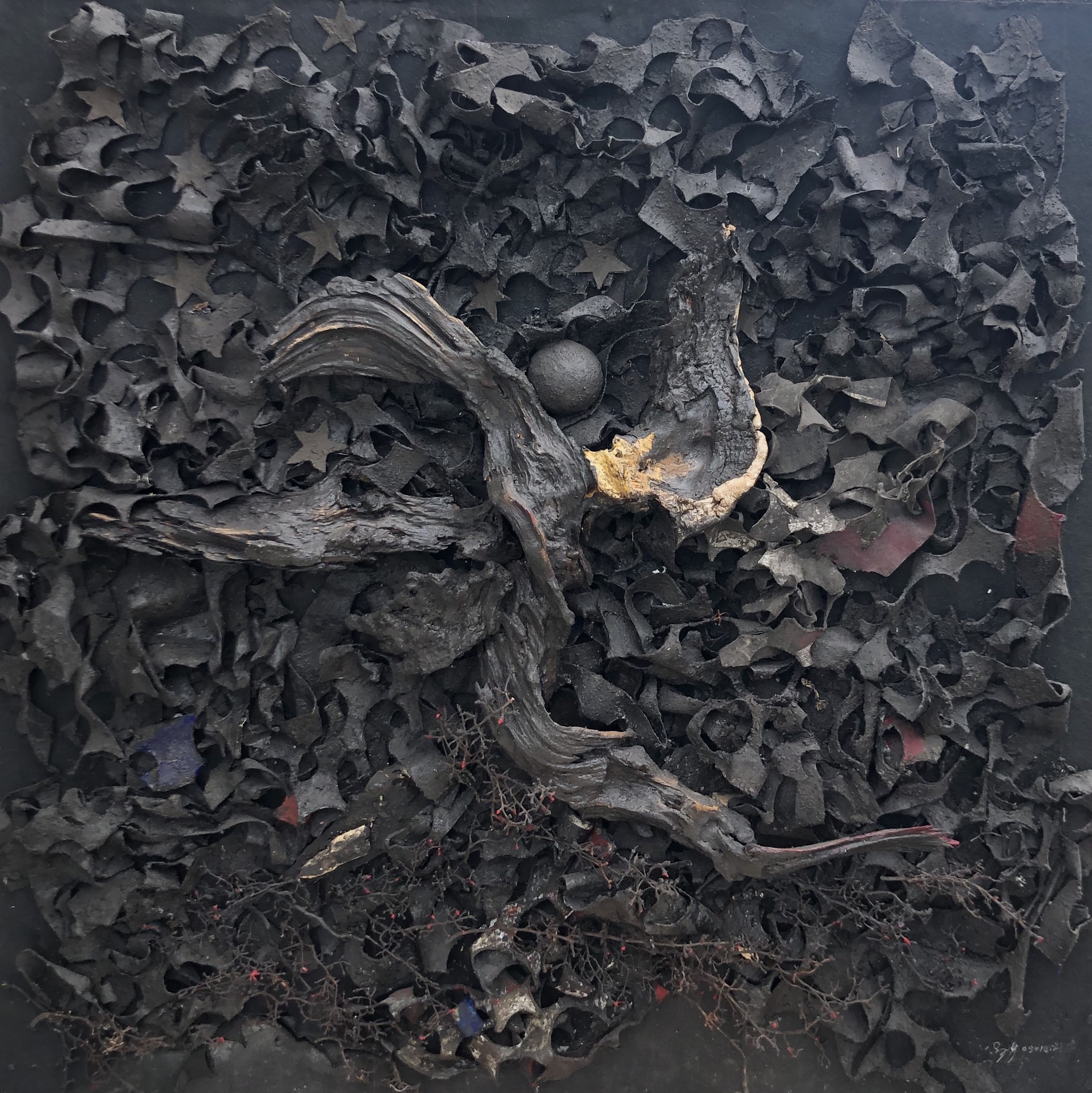 ASC shows Madai Taylor’s work