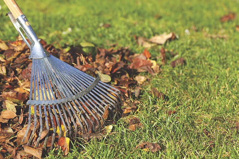 In raking and disposing of leaves, mulch leaves by running the lawn mower over them and leaving the shredded leaves and grass in the lawn. - Submitted photo