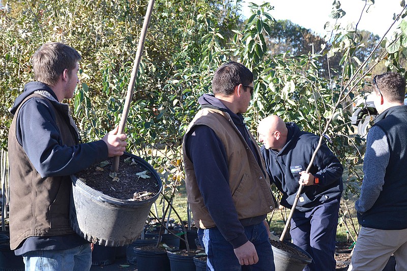 TIMES photograph by Annette Beard
Employees with Carroll Electric Alan Houston, Cooper David, Brian Petersen, certified arborist, and Brian Wise, new developments coordinator, were on hand Thursday, Oct. 22, to help Pea Ridge city Street Department employees with the tree give-away.