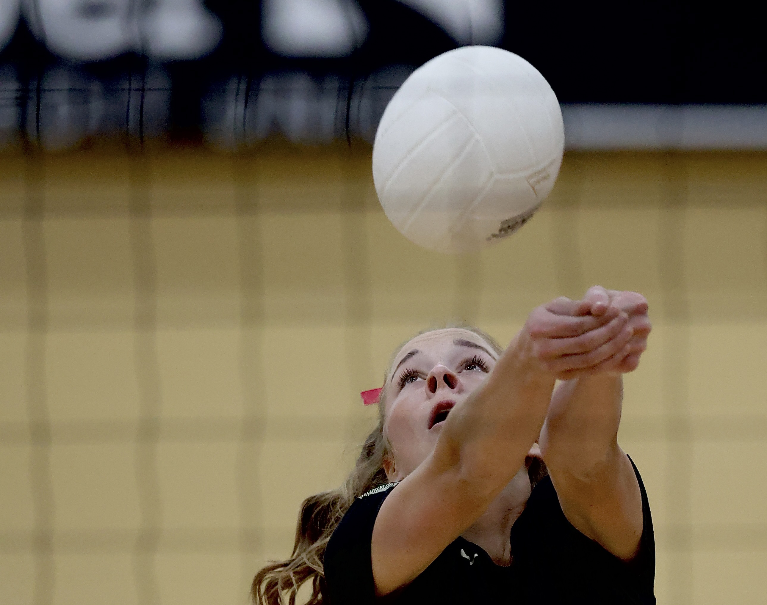 Lady Hawks sweep L-E to tie for district title - Vimarsana News