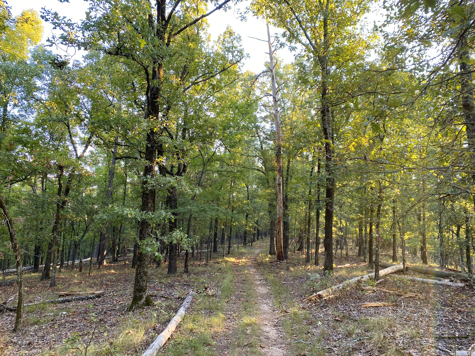 Trail Glades Gun Range - z9dvrbg