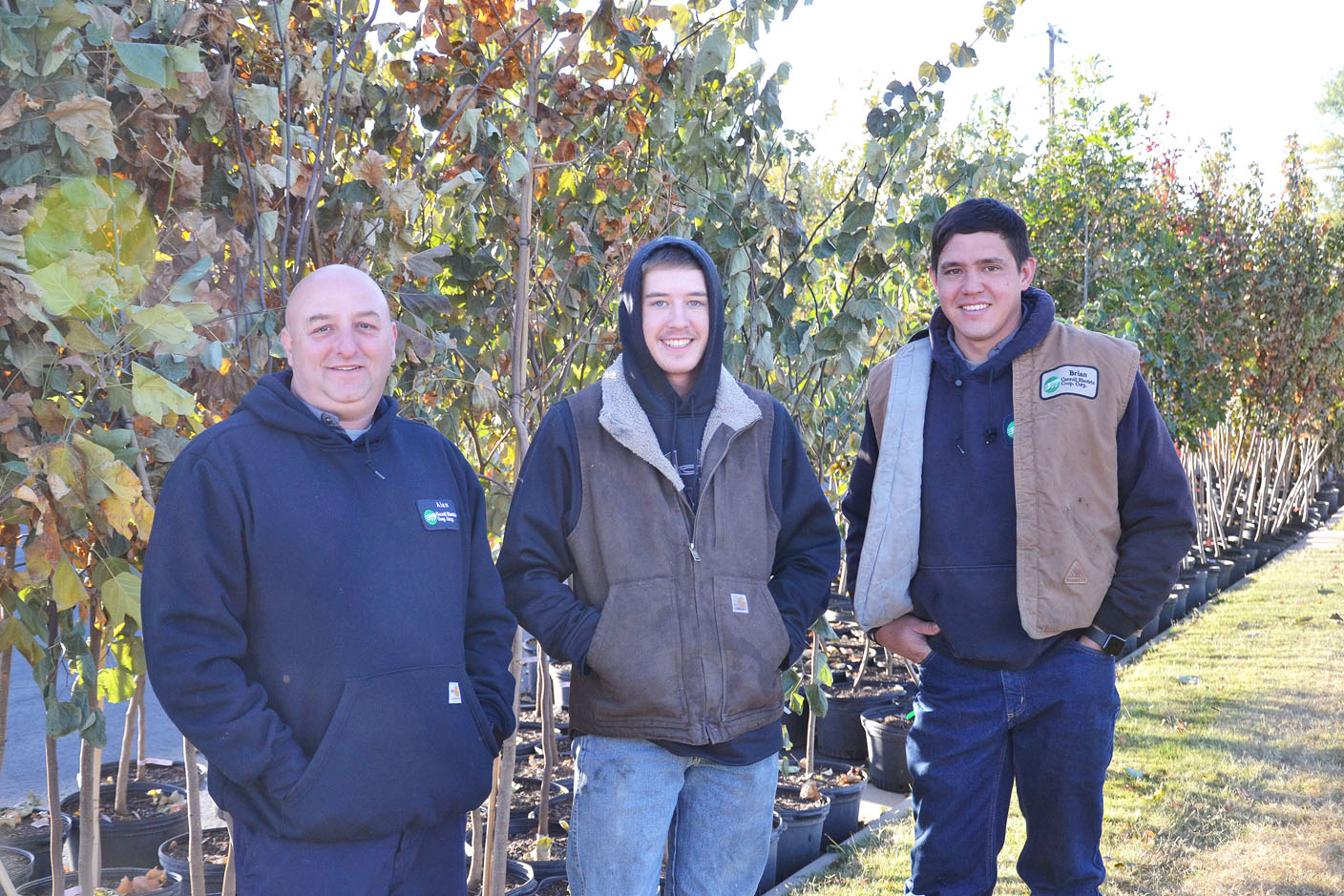 Officials: Pea Ridge has good turnout for tree giveaway - Vimarsana News