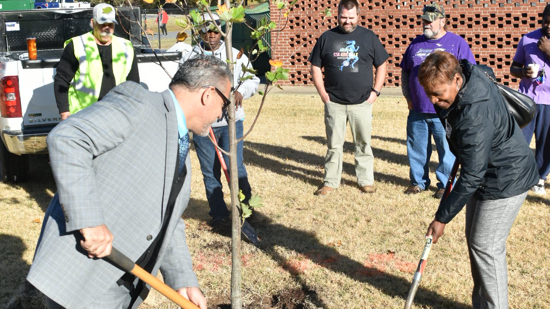 SEARK honored as Tree Campus