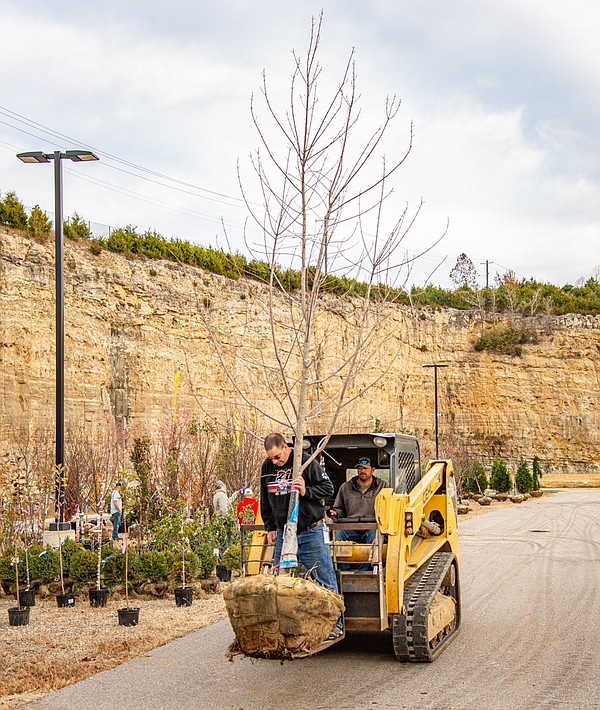 Trees to go at Special Olympics Missouri campus - Vimarsana News