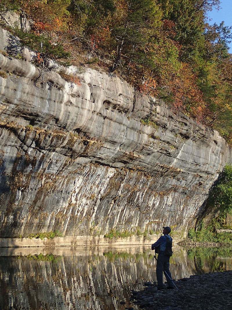 Pat Bodishbaugh admires a Buffalo National River bluff Oct. 7 2022 while fishing along the stream between Ponca and Steel Creek. Wade fishing is the angler's favorite way to fish the Buffalo and other Ozark streams.
(NWA Democrat-Gazette/Flip Putthoff)