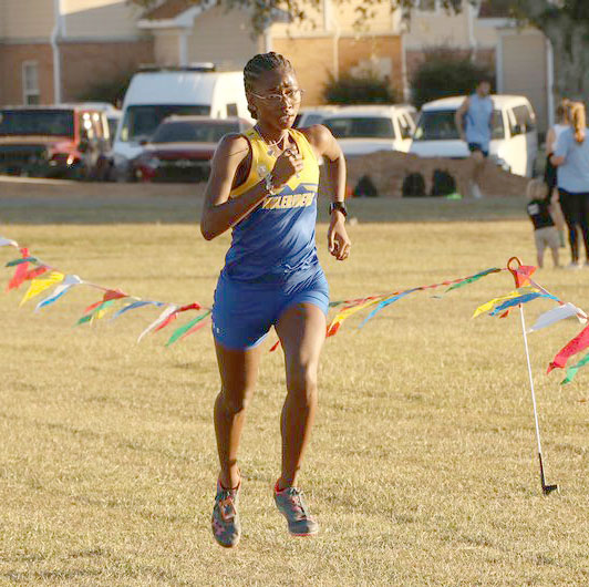 SAU finishes 5th, 6th in GAC Cross Country Championships