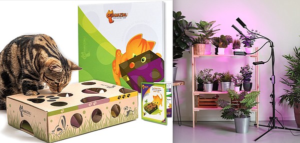 Tools & Toys: Cat Amazing and Everlasting Comfort Grow Light - Vimarsana News