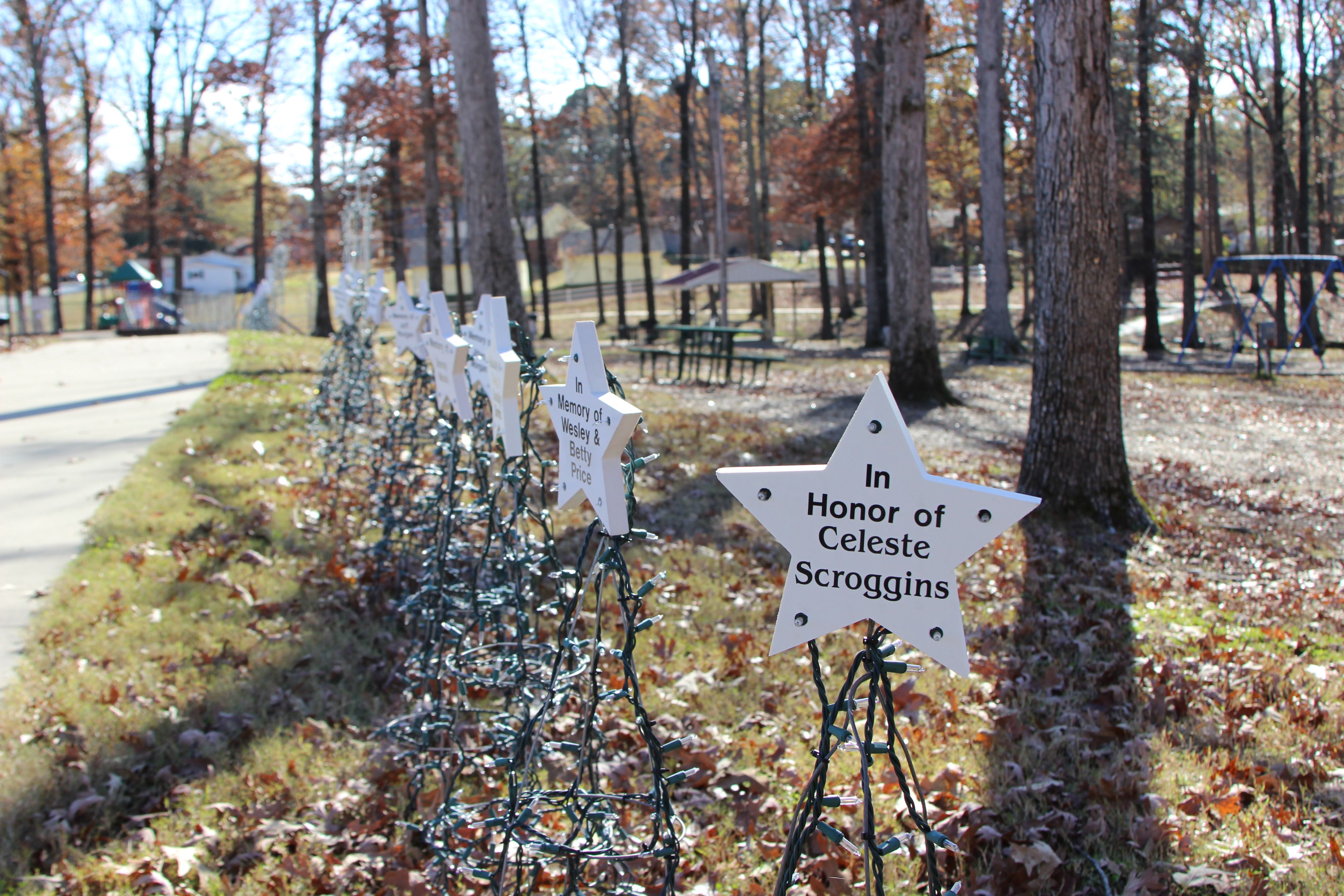 White Hall honors loved ones with stars for the holidays