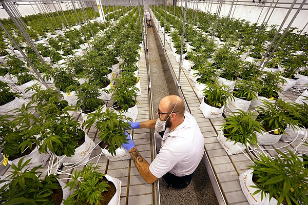 Missouri joins 21 states in legalizing recreational marijuana