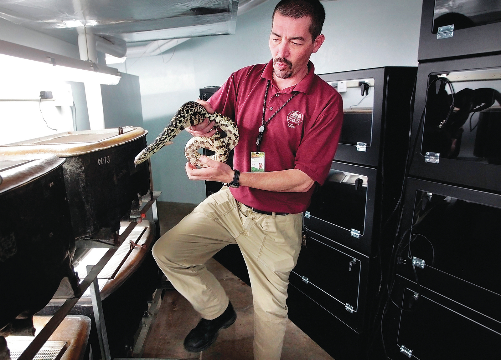U.S.: Protect Louisiana, Texas land for rare burrowing snake - Vimarsana News