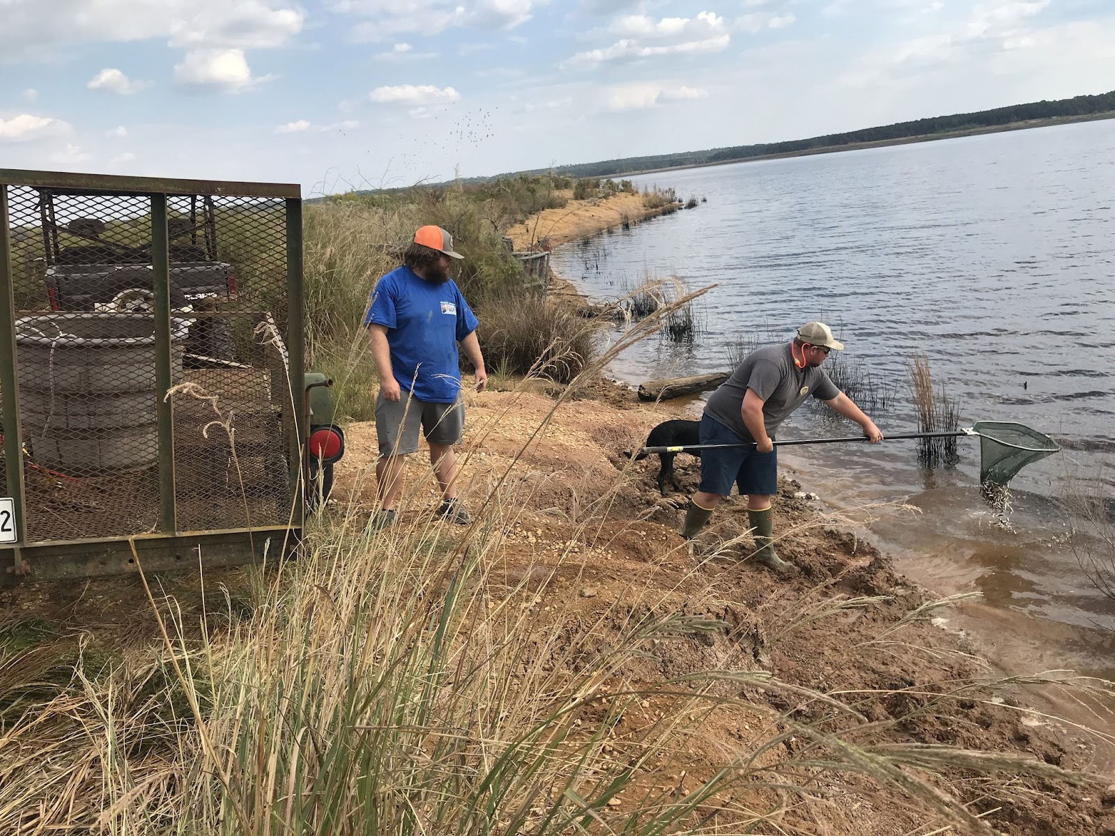 AGFC stocks up Lake Monticello’s forage fish