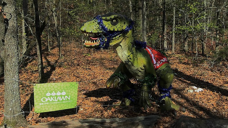 A dinosaur on Mid-America Science Museum's Dino-Trek that was decorated by Oaklawn Racing Casino Resort sports a racing silk, garland and lights as part of the museum's Dino-Lites display. - Photo by Lance Porter of The Sentinel-Record