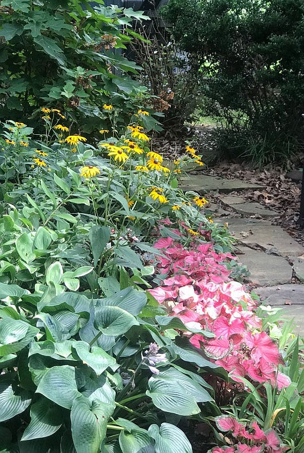 LiCausi talks to Bella Vista Garden Club fall garden chores - Vimarsana News