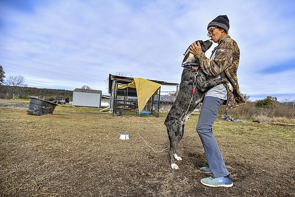 Animal rescue request talking point during Sebastian County budget discussion