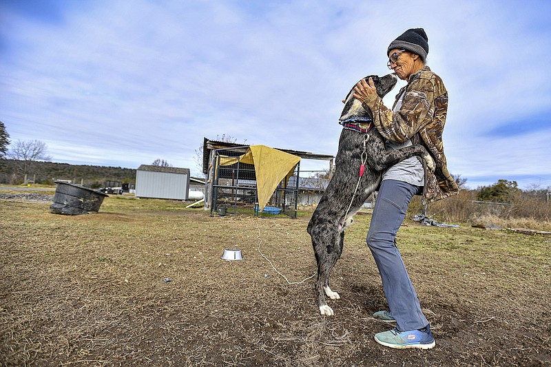 Stephanie Robinson, a volunteer with the Artemis Project, pets a dog named Merle, Friday, Nov. 18, 2022, at the no-kill animal rescue in Hackett. The Sebastian County Quorum Court declined a request from the Artemis Project to provide $125,000 for 2023 as part of a plan it approved to balance the county budget for that year. Sebastian County provided the Artemis Project $60,000 for 2022, and it’s set to get the same amount for 2023. Visit nwaonline.com/221120Daily/ for today's photo gallery.
(NWA Democrat-Gazette/Hank Layton)