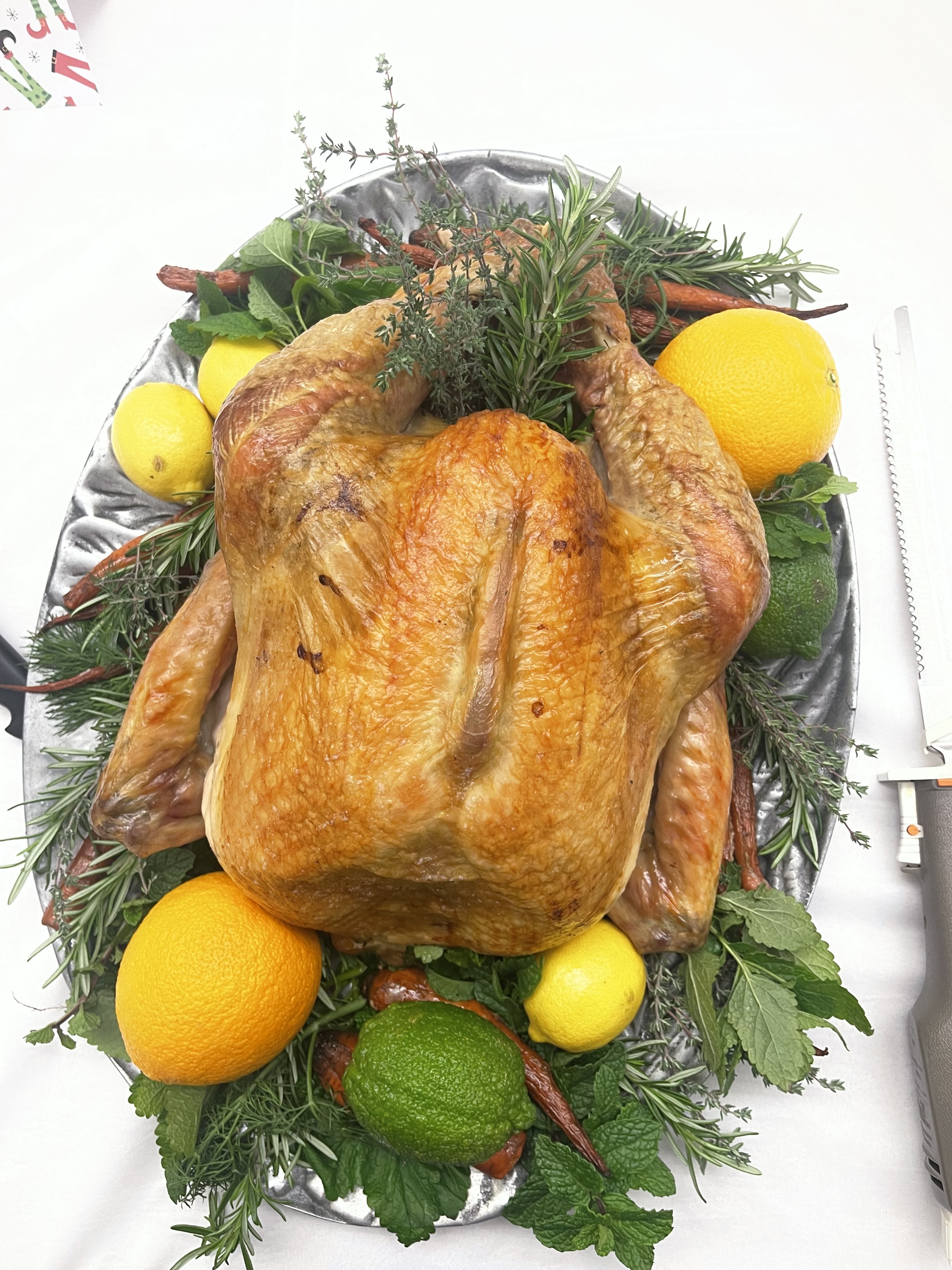 Addressing turkey myths key to holiday safety