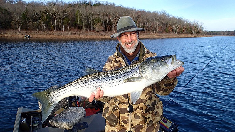 Flip Putthoff/NWA Democrat-Gazette Bruce Darr isn’t a fishing guide, but he caught this dandy striped bass on a fly rod in November of 2017 at Beaver Lake. A guided fishing trip makes a great gift for the angler on your list.