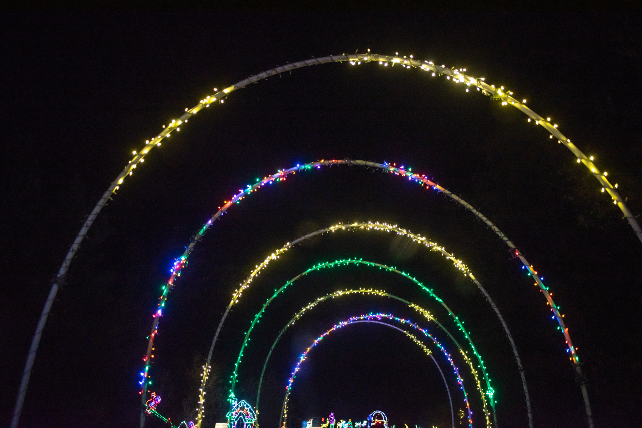Season of Lights opens Texarkana Gazette